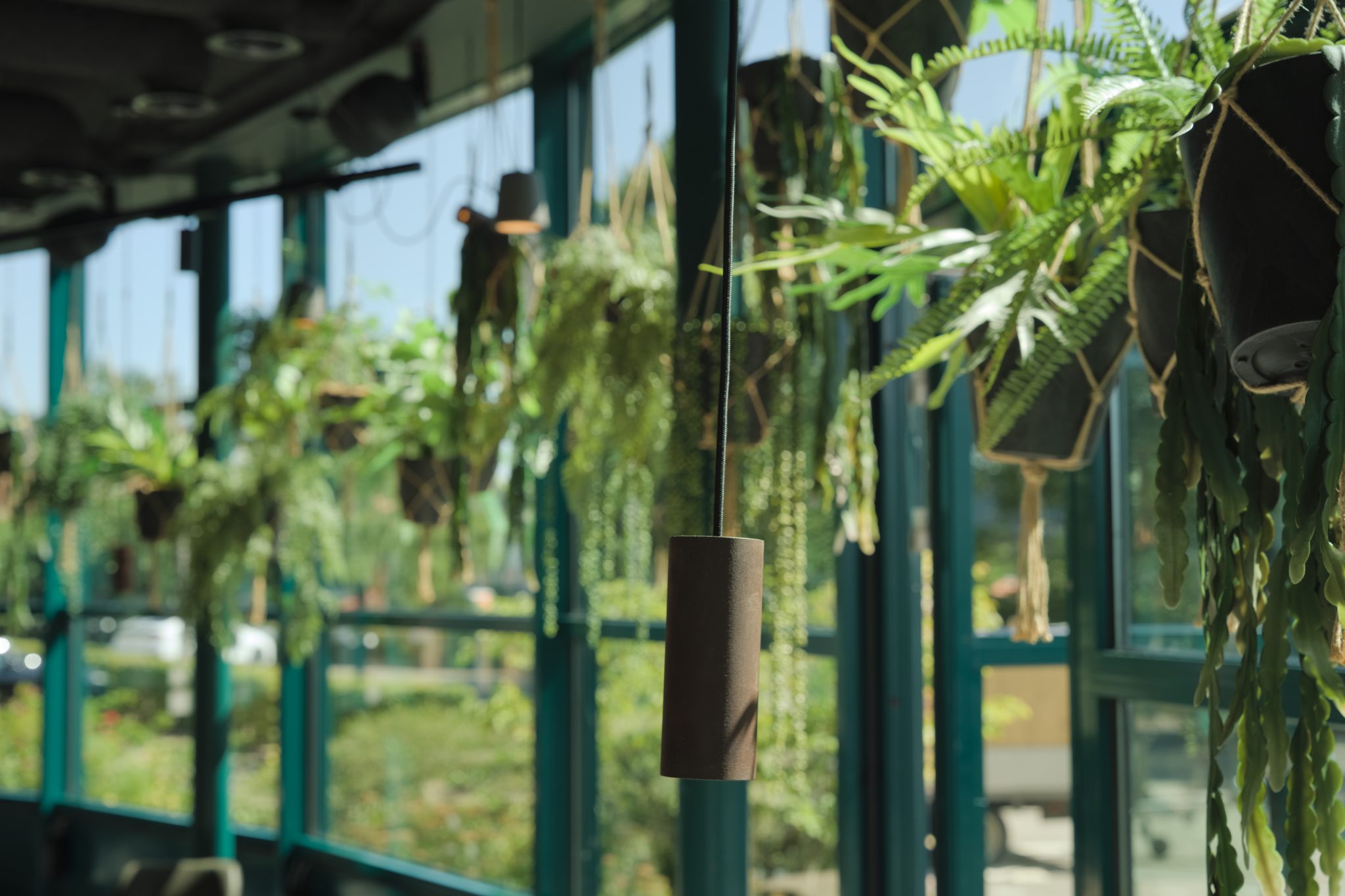 Zonlicht tussen hangplanten en lampen voor de groene restaurantkozijnen.